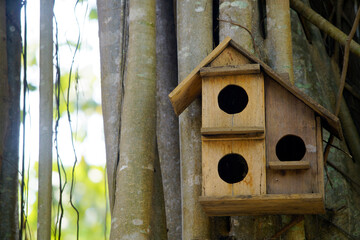 Charming Wooden Birdhouse Nestled Among Lush Green Foliage