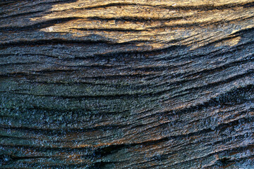 Textured Surface of Weathered Wood Displaying Natural Patterns