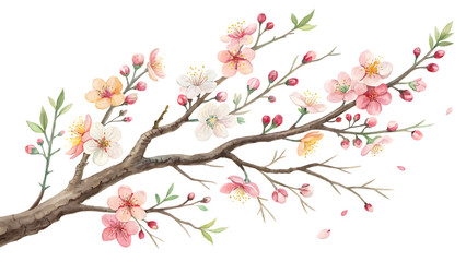 Watercolor Painting Of Plum Blossoms On Branch With Black Background Art