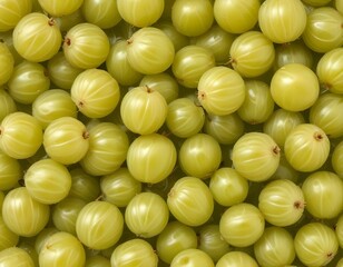 gooseberry isolated on white background