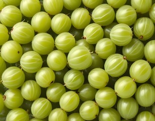 gooseberry; isolated; white; gooseberries; background; green; fruit; berry; ripe; organic; food; fresh; closeup; ingredient; raw; healthy; sweet; group; macro; natural; nutrition; juicy;