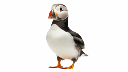 a bird with an orange beak standing on a transparent background, PNG image, PNG file, Generative art.