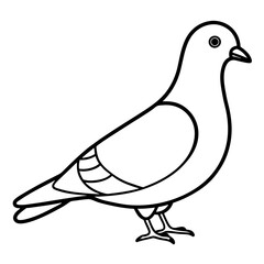 Elegant Pigeon Outline Illustration
