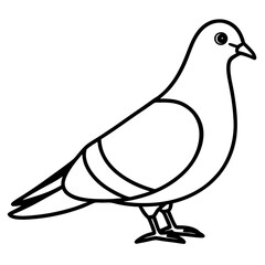Elegant Pigeon Outline Illustration