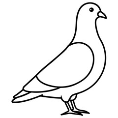 Elegant Pigeon Outline Illustration