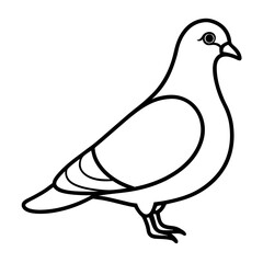 Elegant Pigeon Outline Illustration
