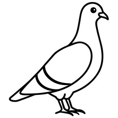 Elegant Pigeon Outline Illustration