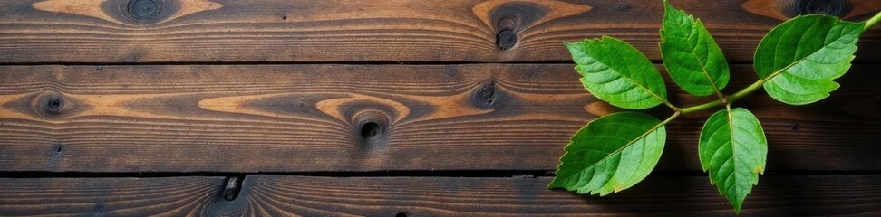 Obraz premium Single isolated tree branch on a wooden background, texture, simple