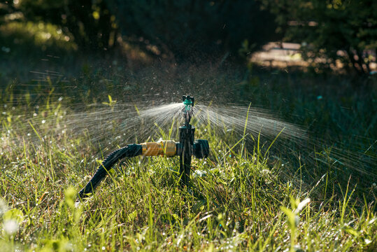 Garden sprinkler watering green grass with water drops in sunlight