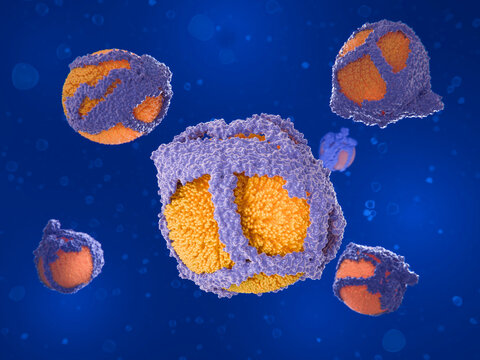 LDL particles. Low-density lipoprotein particles transport  lipids like cholesterol, phospholipids and triglycerids 