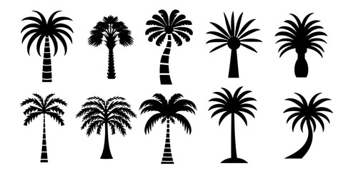Set of black fill abstract silhouette tropical tree or palm tree vector illustration simple hand drawing.