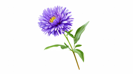 a picture of a purple flower on a transparent background, PNG image, PNG file, Generative art.