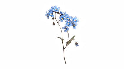 a bunch of small blue flowers on a transparent background, PNG image, PNG file, Generative art.