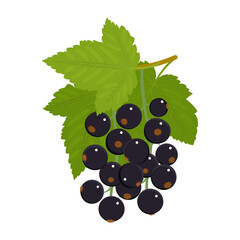 Black currant isolated on a white background. Black berries and green leaves in the flat style. Vector illustration, colored icon, design element.