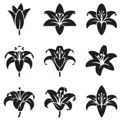 Set of isolated silhouette lily styles. Cute hand drawn flower Vector Black silhouettes illustration with white background outline plane.