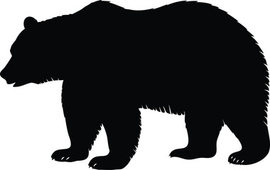 Fototapeta premium Realistic bear silhouette with fur texture in side view, black vector animal illustration on white background, ideal for wildlife projects, predator icons, forest animals, or wilderness-themed art