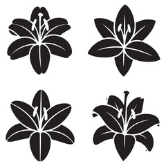 Set of isolated silhouette lily styles. Cute hand drawn flower Vector Black silhouettes illustration with white background outline plane.
