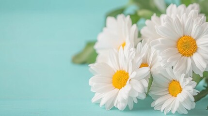 Daisies with white petals and yellow centers display freshness against a turquoise backdrop, creating a serene and uplifting ambiance