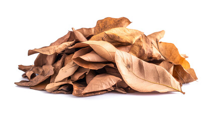 autumn leaves background, maple leaves