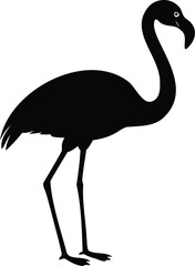 Fototapeta premium Silhouette of a flamingo standing on two legs, side view in black vector on white background, elegant bird illustration for tropical, zoo, exotic animal, and minimal wildlife-themed projects