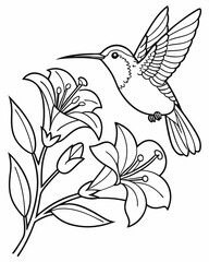 Fototapeta premium Hummingbird and Flower Coloring Page – Line Art for Creative Coloring Fun