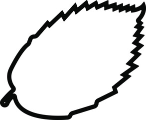 Hornbeam leaf in line Useful leaves silhouette icons vegan analysis vector for apps, web isolated on transparent background