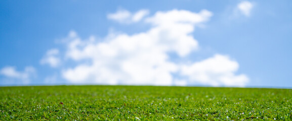 Fototapeta premium Empty grass field. Garden landscape. Wild grass meadow. Lawn grass background. Vibrant green environment. Green grassy land. Summer countryside. Green backdrop. Grass pattern. Blooming meadow.