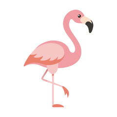 Cute Pink Flamingo Bird Cartoon Standing One Leg