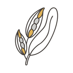 Stylized Seeds and Pods Illustration on Black Background