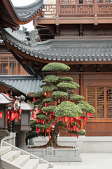 Traditional asian temple with bonsai tree and red wishing tags