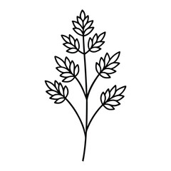 Wormwood flower line art vector on white background