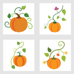 Vector art illustration of sweet pumpkin