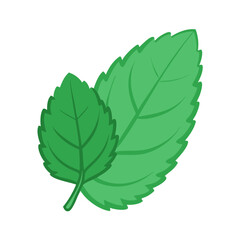 Two Green Mint Leaves on Black Background Illustration © Xihan