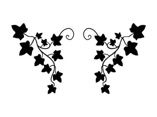 ivy vine design element, minimalistic vector of leaves in outline, plant stem or tree branch clip-art, pretty curving floral design isolated on white background, decorative wedding invitation art