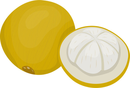 Kecapi Indonesian local fruit 