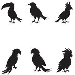 Fototapeta premium set of bird silhouette
