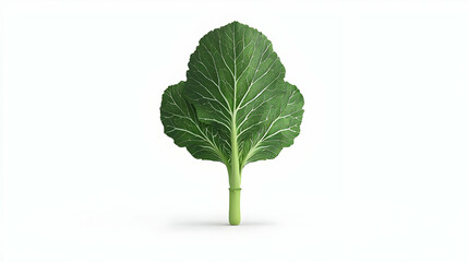 Naklejka premium Detailed Image Of A Single Green Kale Leaf Against White Background