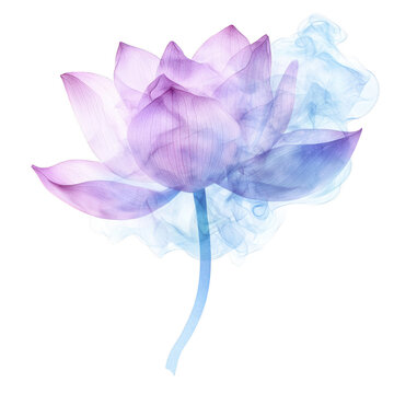 A beautiful lotis flower illustration in purple and blue hues, surrounded by a soft, ethereal mist, on a white isolated background.
