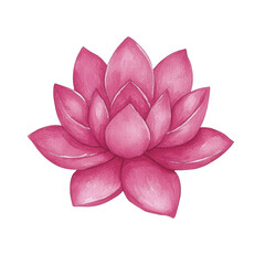 A beautifully illustrated pink lotus flower with delicate petals, featuring soft gradients and intricate details, perfect for nature lovers and botanical art enthusiasts.