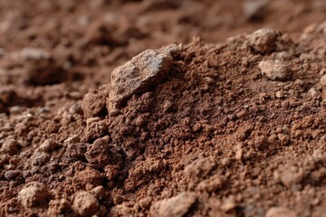 Close-up view of regular brown soil