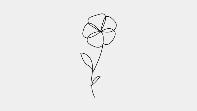 Animated self drawing of single continuous one line art draw fresh romantic beautiful flower. Black and white flowers illustration. Greeting card, invitation, logo, banner, poster concept