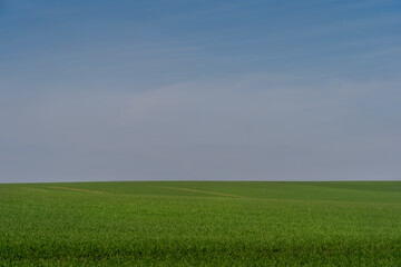Fototapeta premium perfect wallpaper where you can see all icons, files. Perfect background, mockup, free space to use. Agriculture, clouds, greenery, grass
