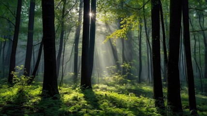 Bright and unusual spring landscape: blooming fields, green grass, vibrant flowers, and sunny skies creating an atmosphere of freshness and nature.