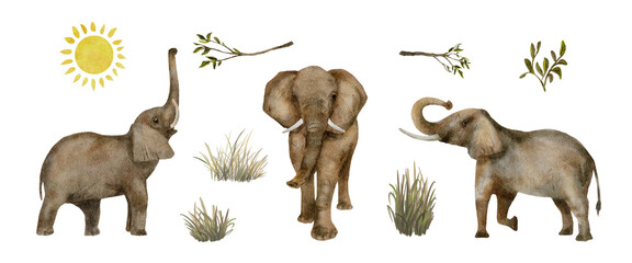 African elephants and plants clipart, hand drawn watercolor elements on isolated background