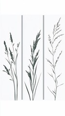 Fototapeta premium Elegant Silhouette of Wild Grasses Against a Clean White Background