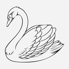 exclusive swan line art vector illustration