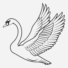 Obraz premium exclusive swan line art vector illustration