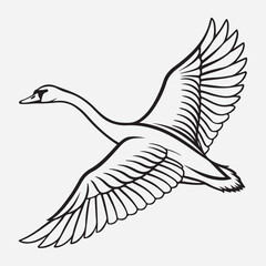 exclusive swan line art vector illustration