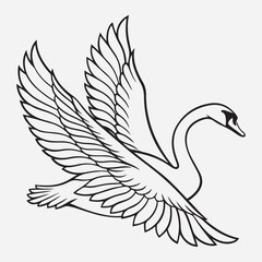 exclusive swan line art vector illustration