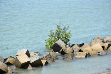 Angular concrete blocks adorn the serene shoreline, offering effective erosion control against...
